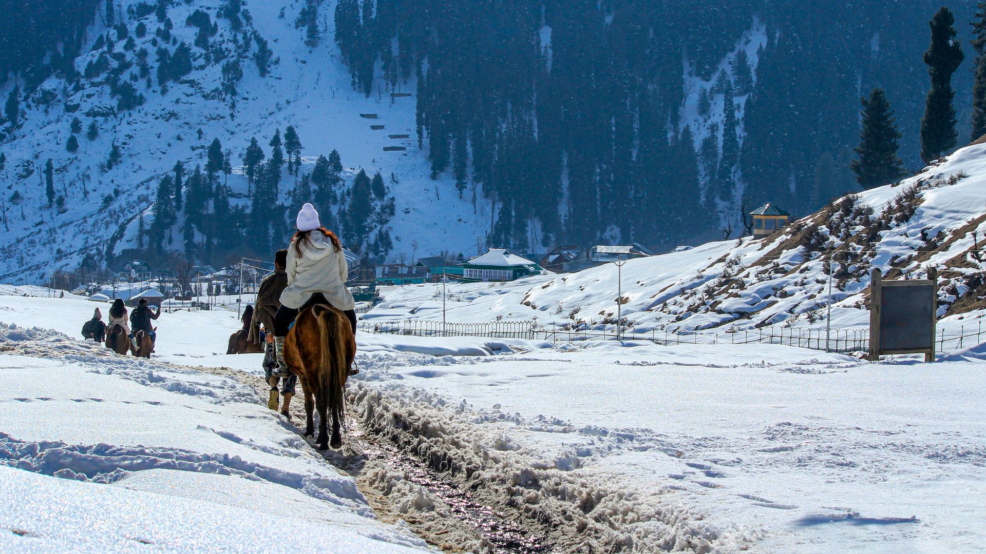 Kashmir cuisine